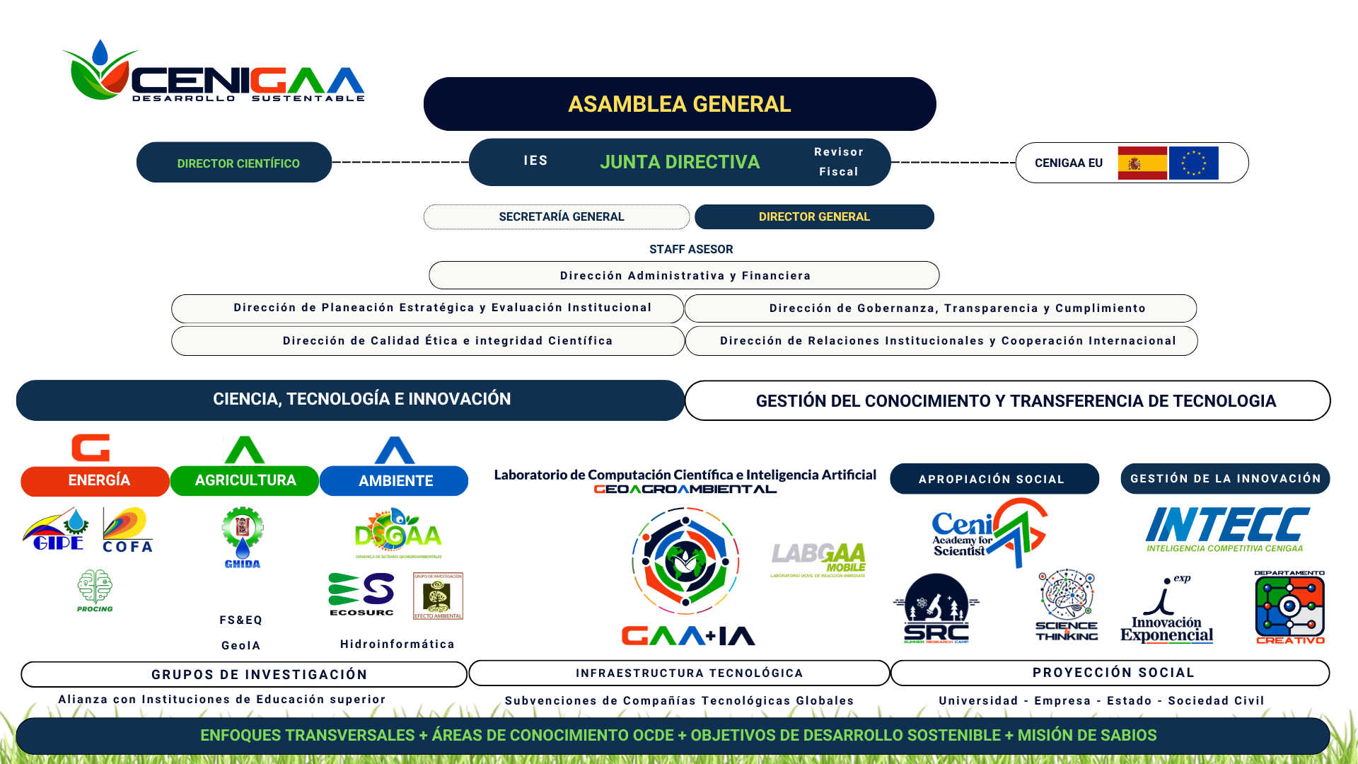 Estructura Organizacional